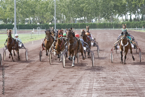 course de chevaux © Olivier-Tuffé
