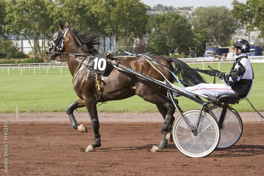 course de chevaux - trotteur