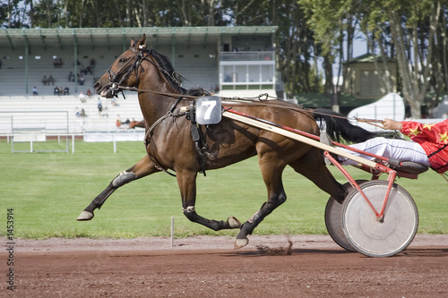 course de chevaux - trotteur