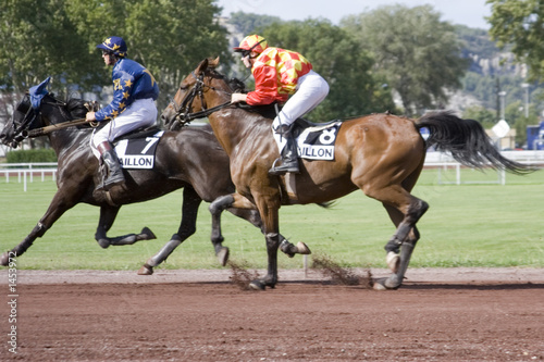 course de chevaux - trot monté photo