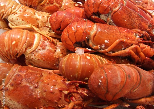 homards