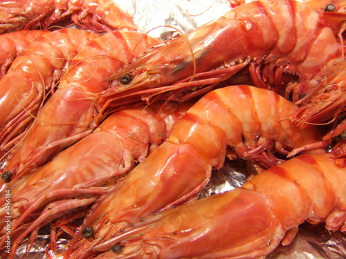 Photos gambas