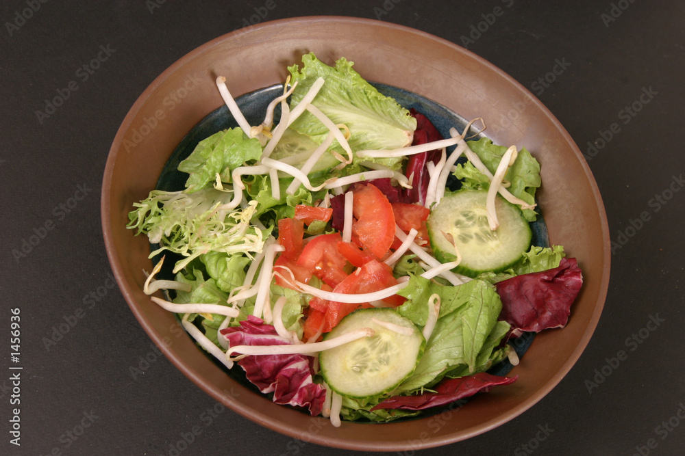 salad in bowl salad in bowl