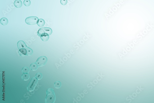 underwater bubbles