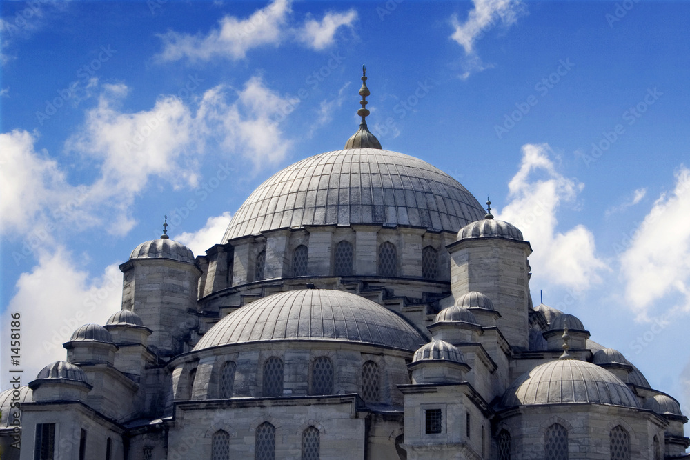 Fototapeta premium mosque