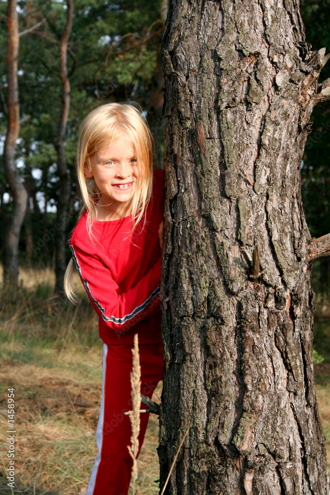 in the forest in the forest