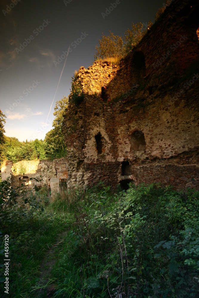 Fototapeta premium castle ruins