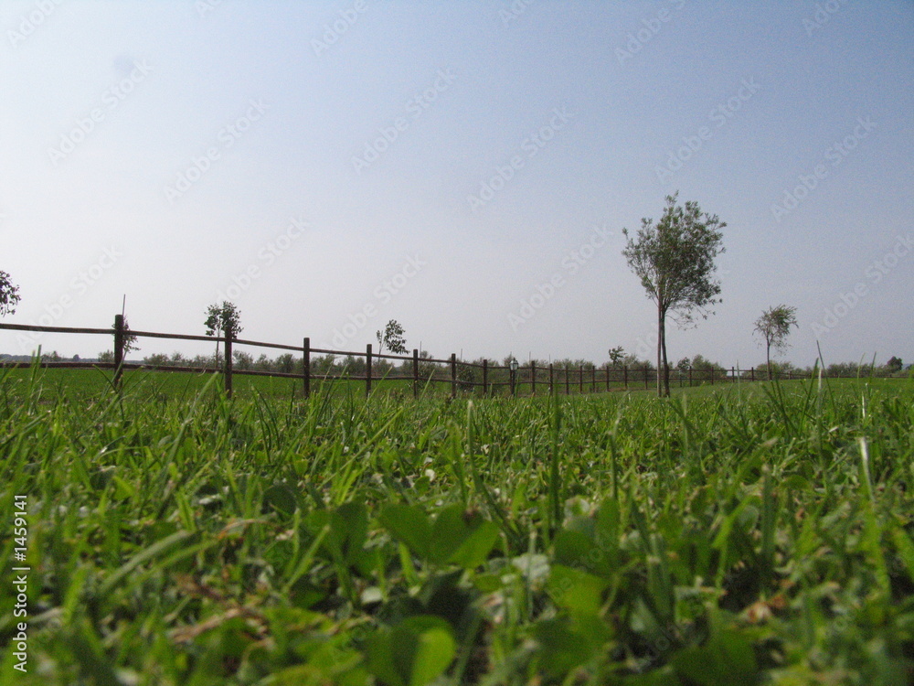 Obraz premium landscape