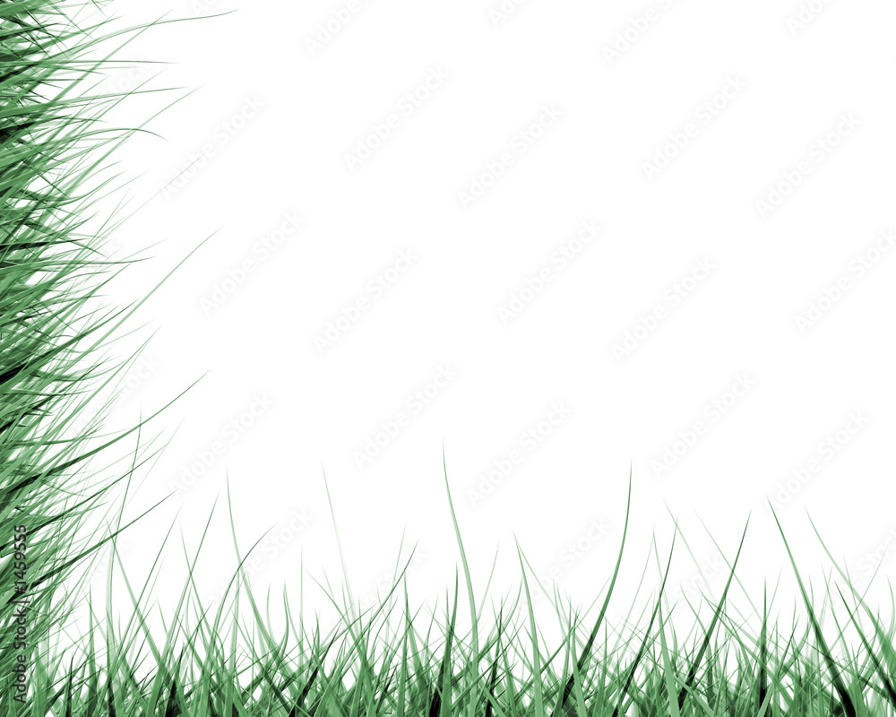 green grass border green grass border