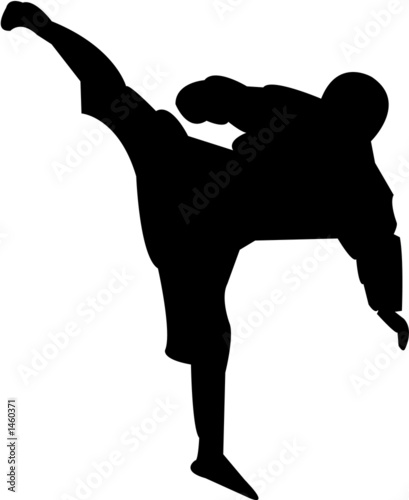 karate silhouette