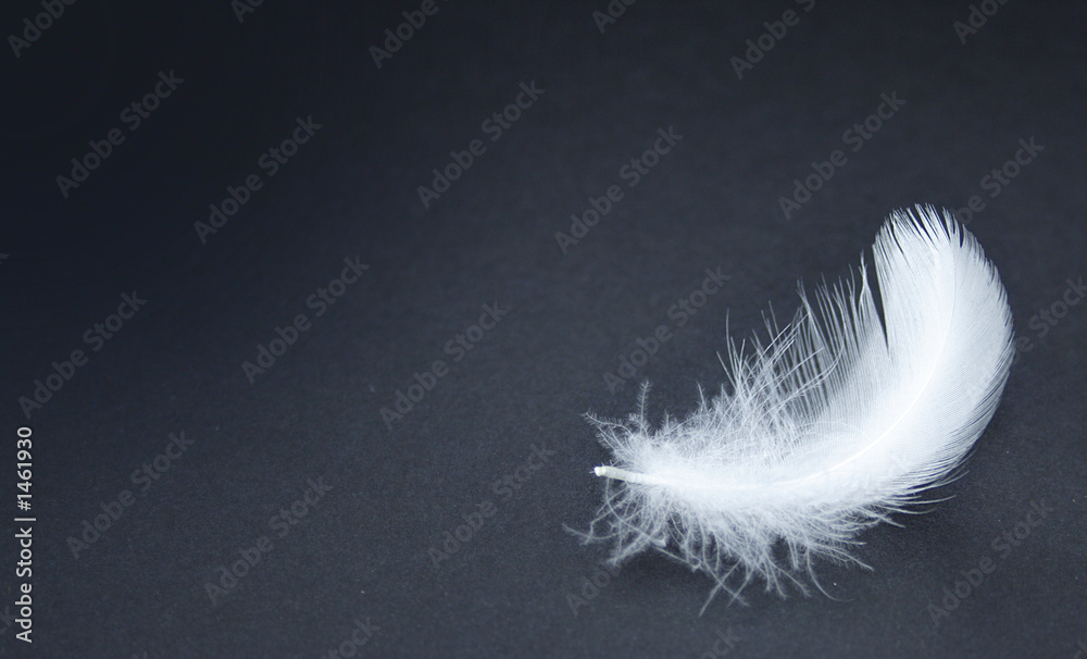 Obraz premium contrast