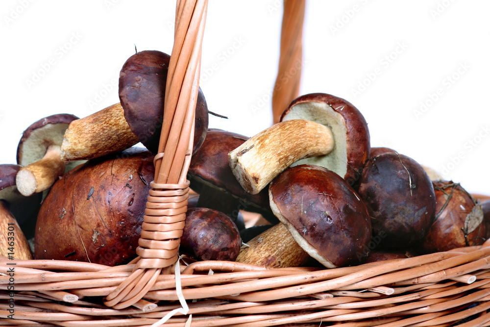 Fototapeta premium three mushrooms
