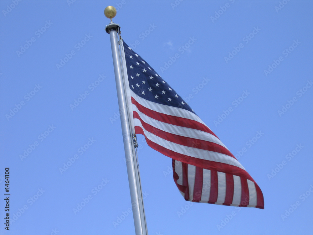 flag in breeze flag in breeze