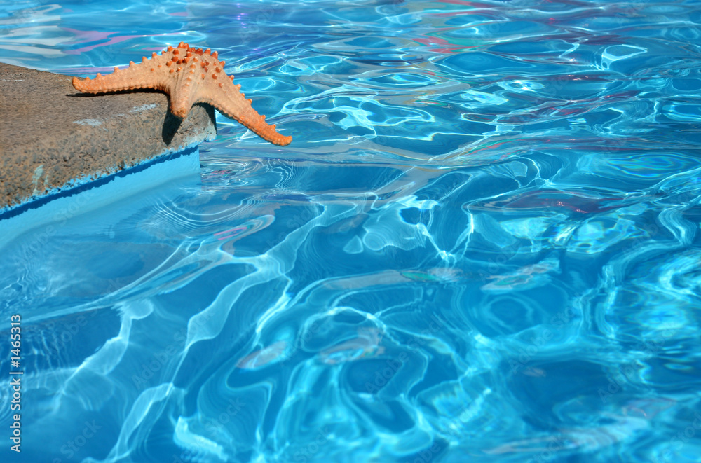 starfish by pool