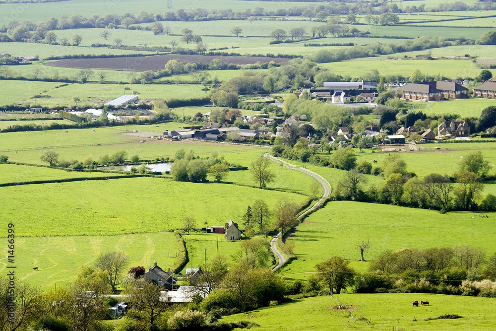 views from crickley hill country park near glouces