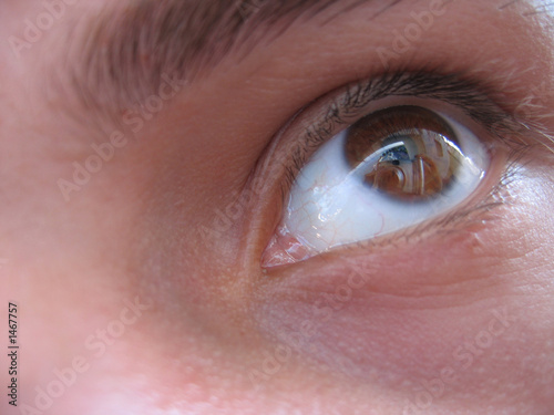 eye