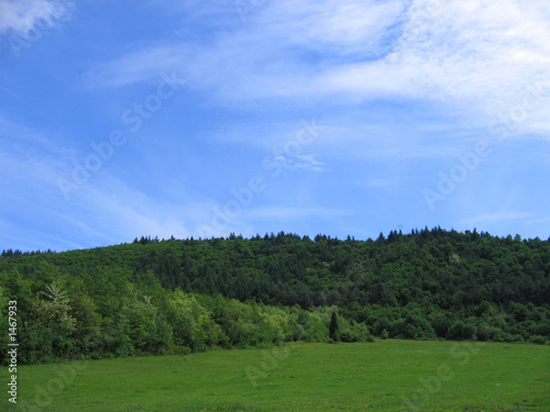 woods