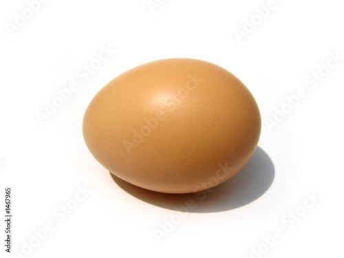 egg