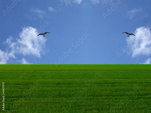 summer scape