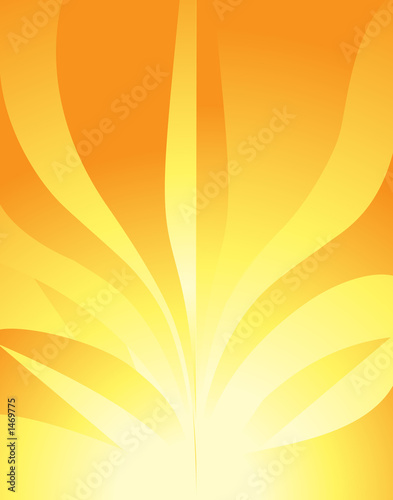 sunny flower