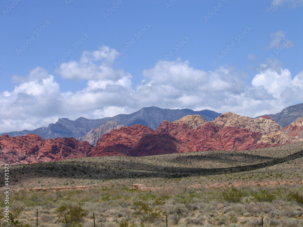 red rock canyon #1