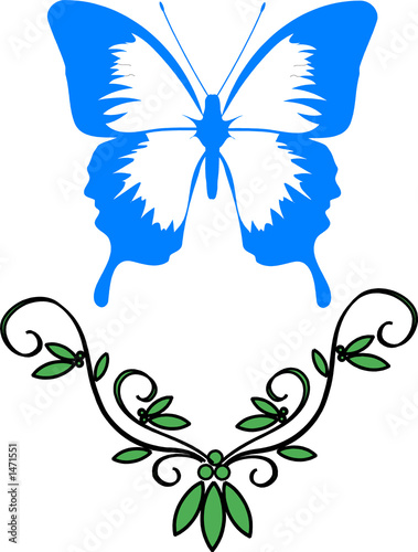butterfly & design