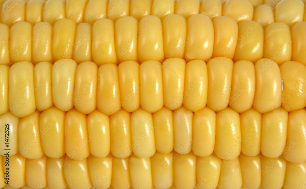 corn corn
