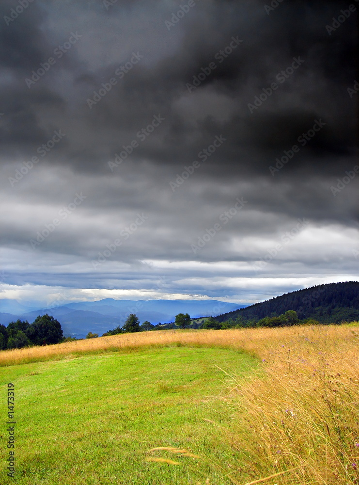 Fototapeta premium bad weather
