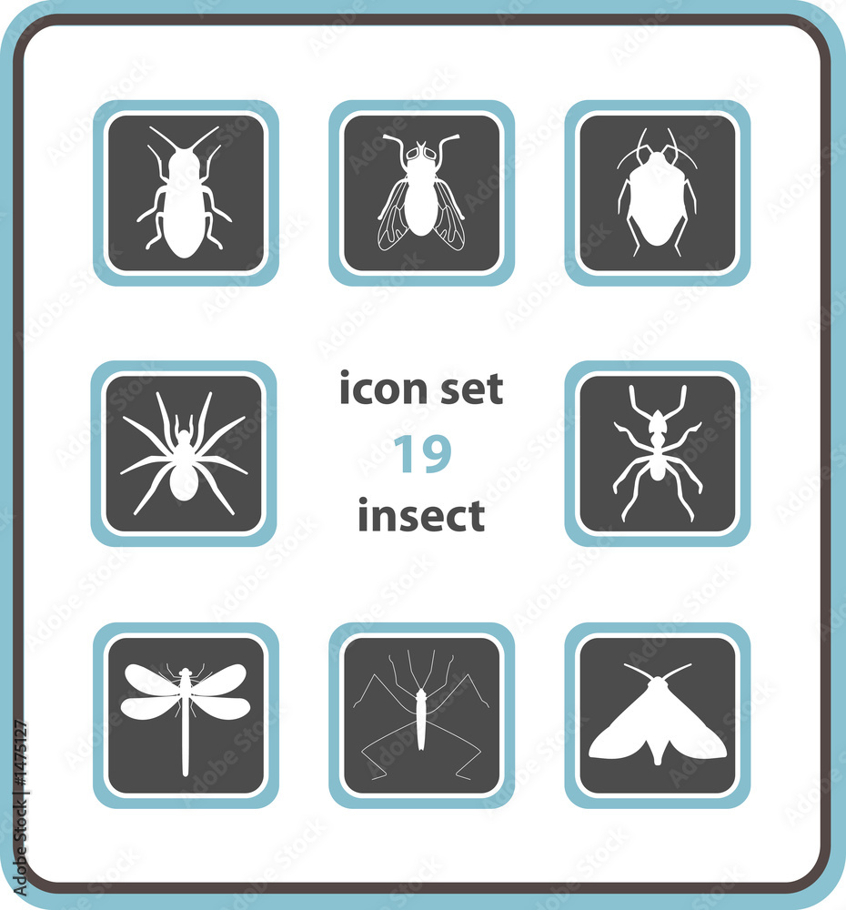vector icon set 19: insect vector icon set 19: insect