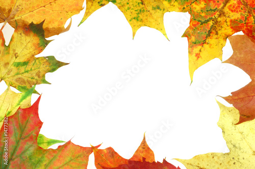 autumn frame  2