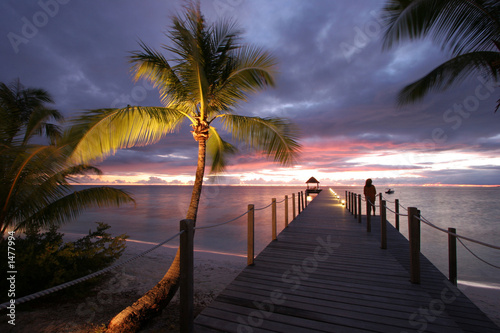dream island