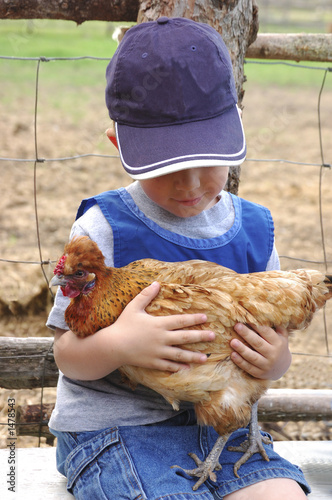 a boy and his chicken