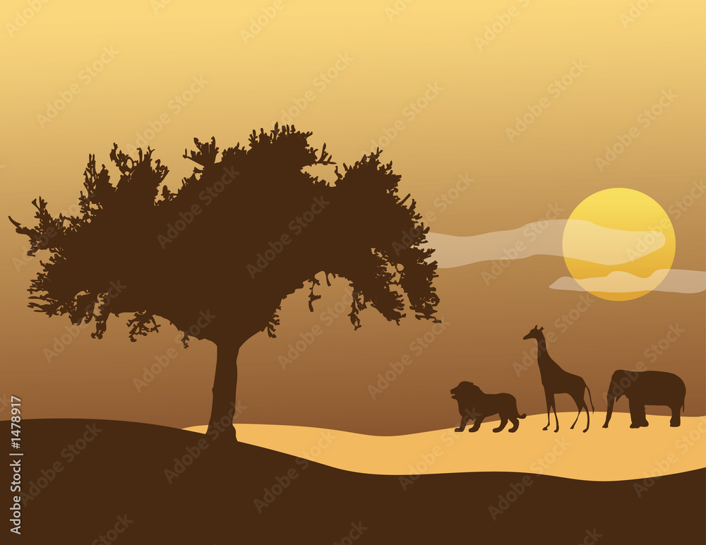 Naklejka premium african sky