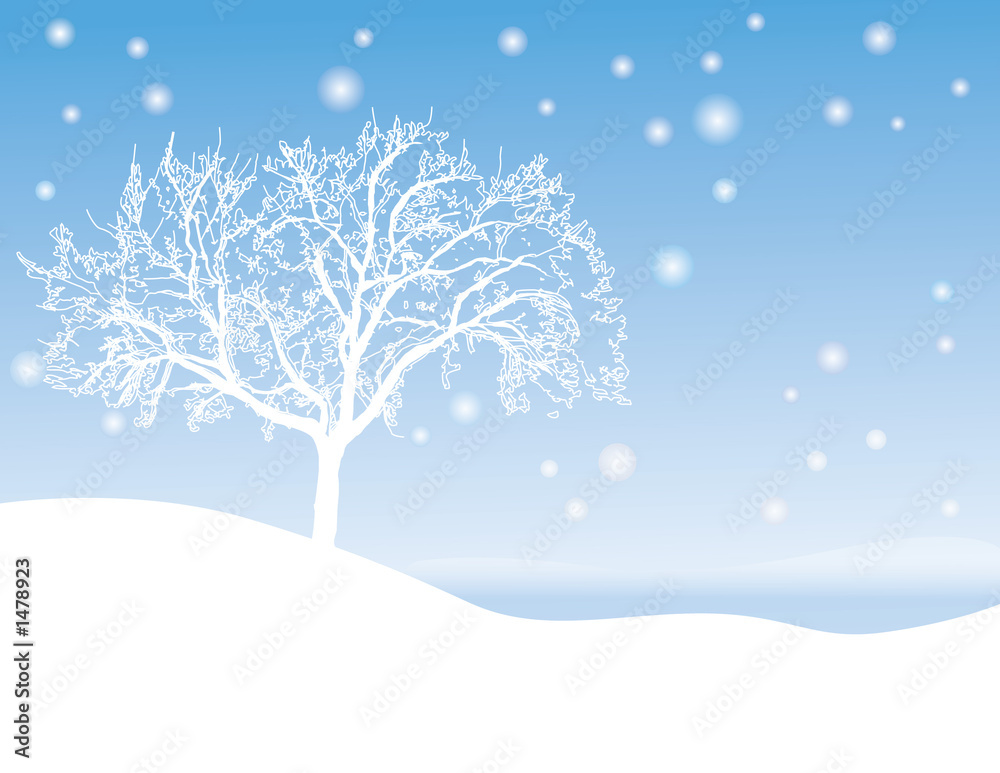 winter tree winter tree
