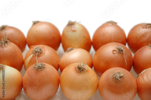 onions arranged in rows