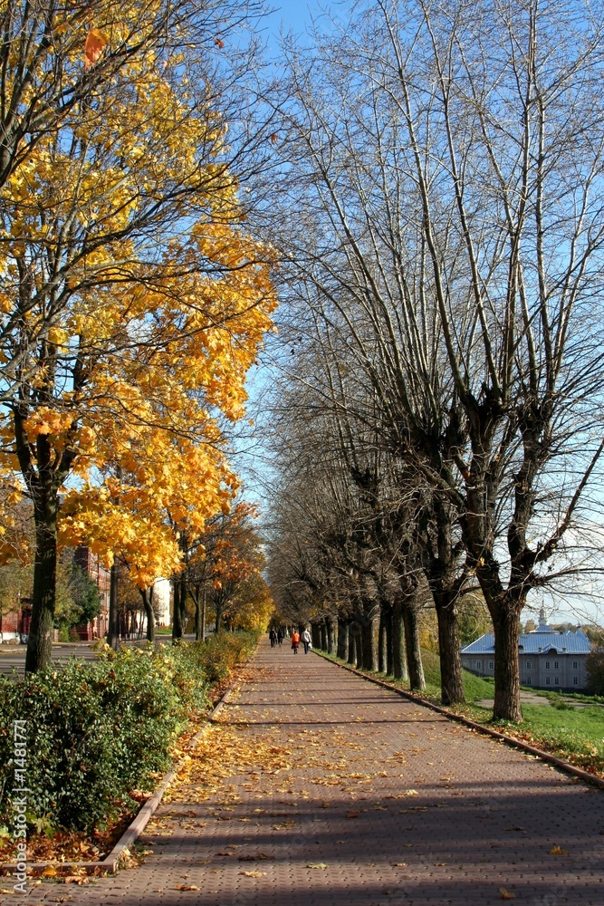 autumn street
