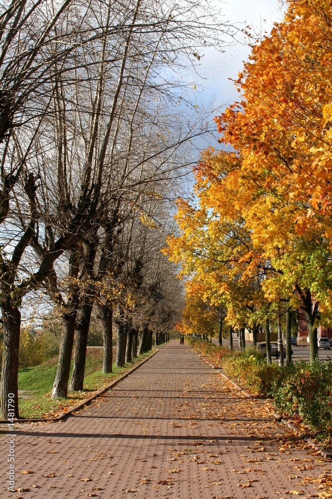 autumn alley