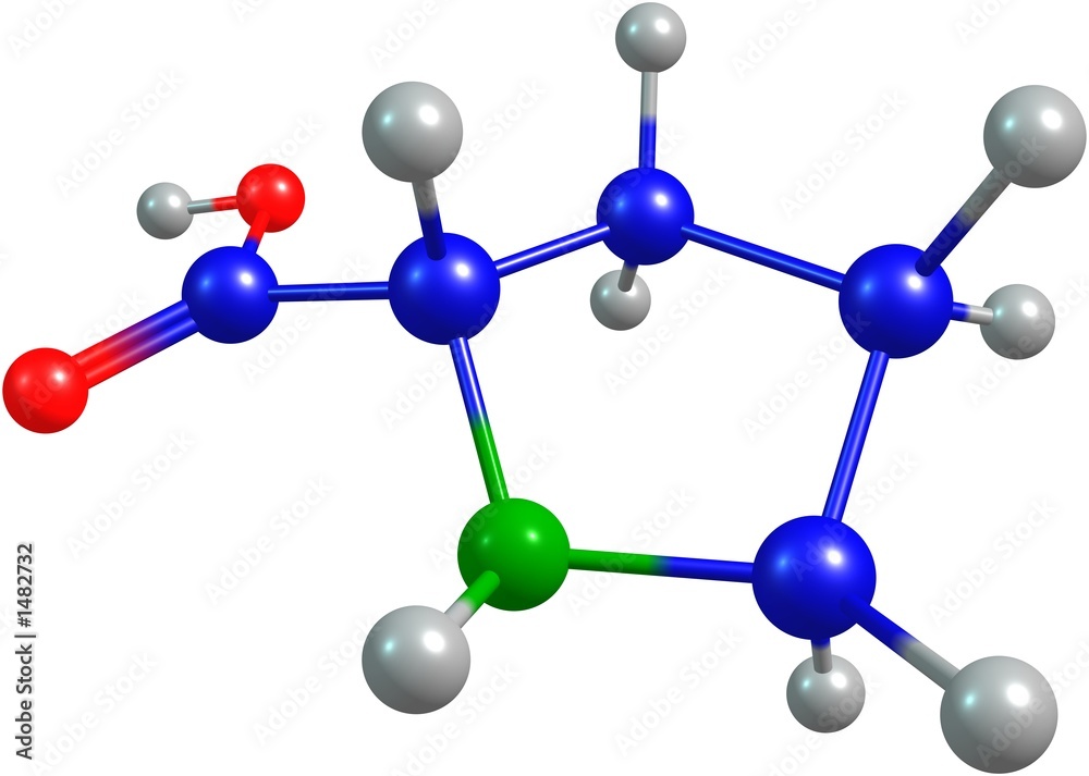 the 3d-rendered colorified molecule of proline the 3d-rendered colorified molecule of proline