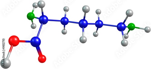 the 3d-rendered colorified molecule of lysine
