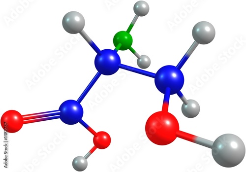 the 3d-rendered colorified molecule of serine