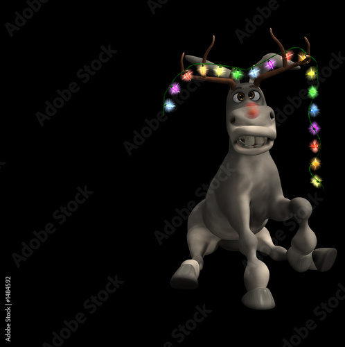 Photography christmas donkey 2