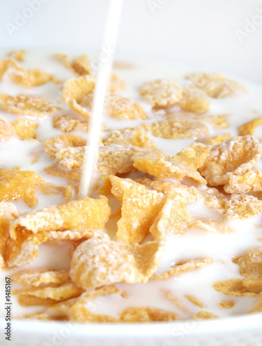 breakfast cereal