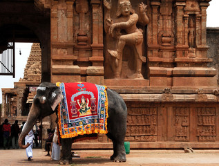 Wandcirkels India Brihadishvara tempel in Tanjore Zuid-India  © TMAX