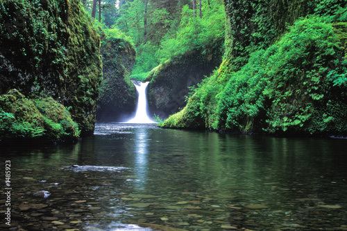 Fototapeta Naklejka Na Ścianę i Meble -  punchbowl falls