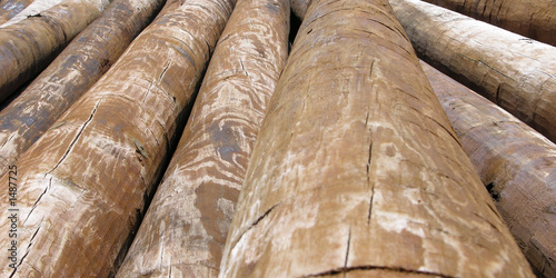 log pile