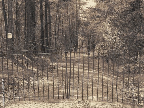 old gate