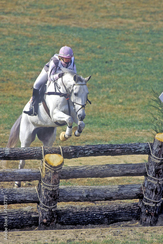 horse jumping