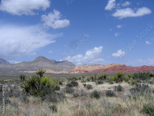 red rock canyon #16