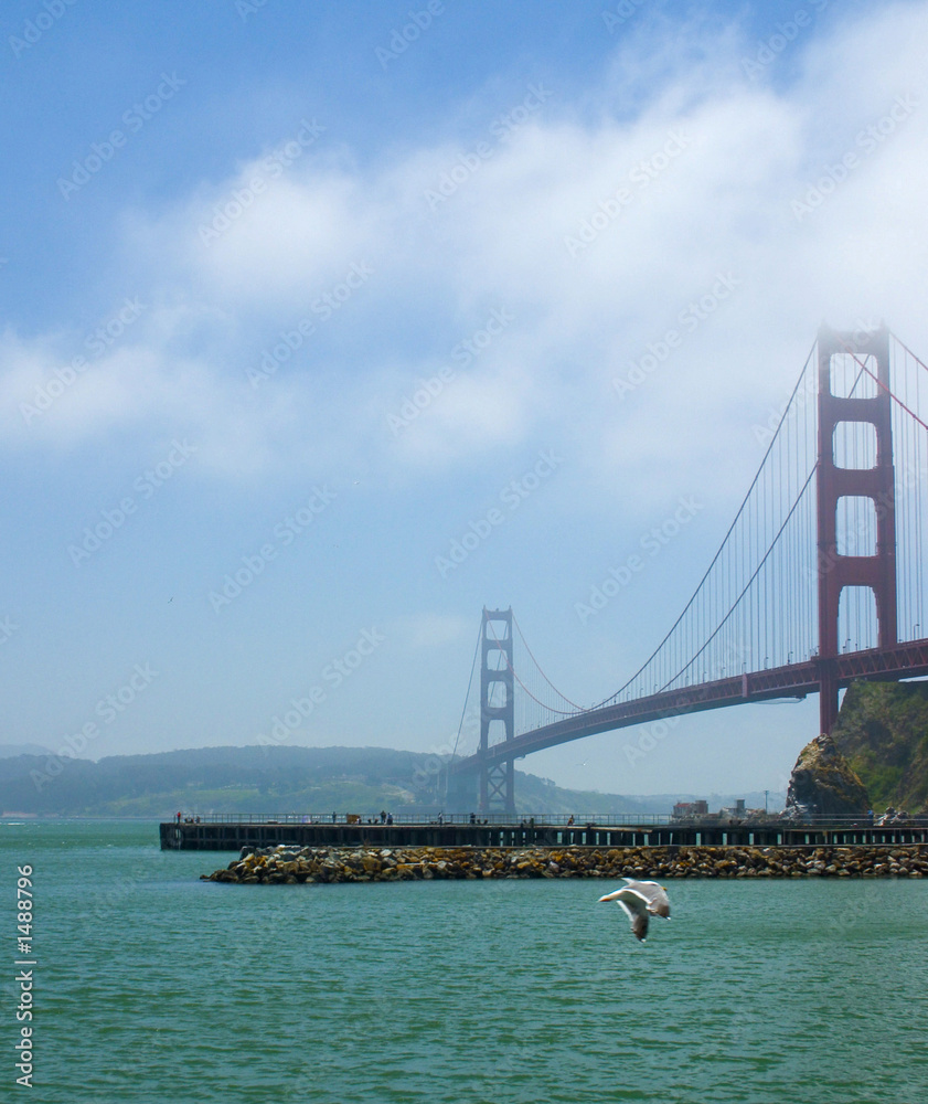 Naklejka premium golden gate view