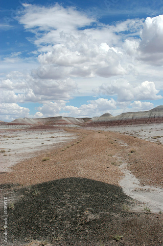 painted desert © MaxFX